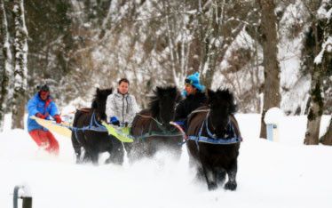 Les plaisirs de la neige